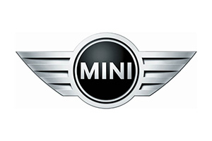 Logo Mini